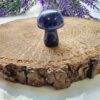 Mantar Lapis Tasi 3