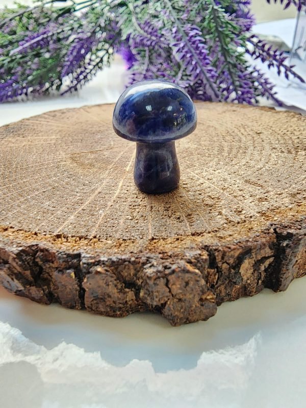 Mantar Lapis Doğal Taşı - Görsel 2