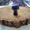 Mantar Lapis Tasi 4