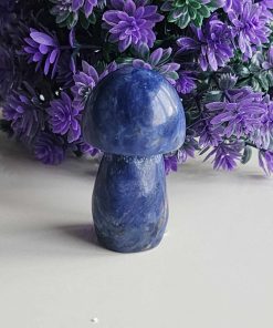Mantar Lapis Taşı Masaüstü Aksesuarı