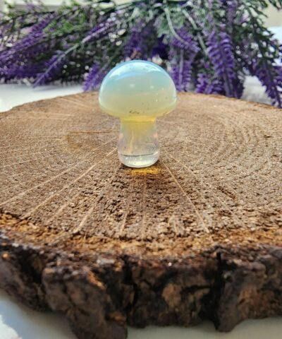Mantar Opal Doğal Taşı