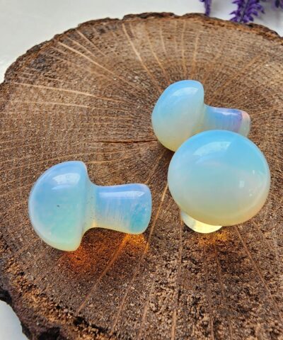 Mantar Opal Dogal Tasi