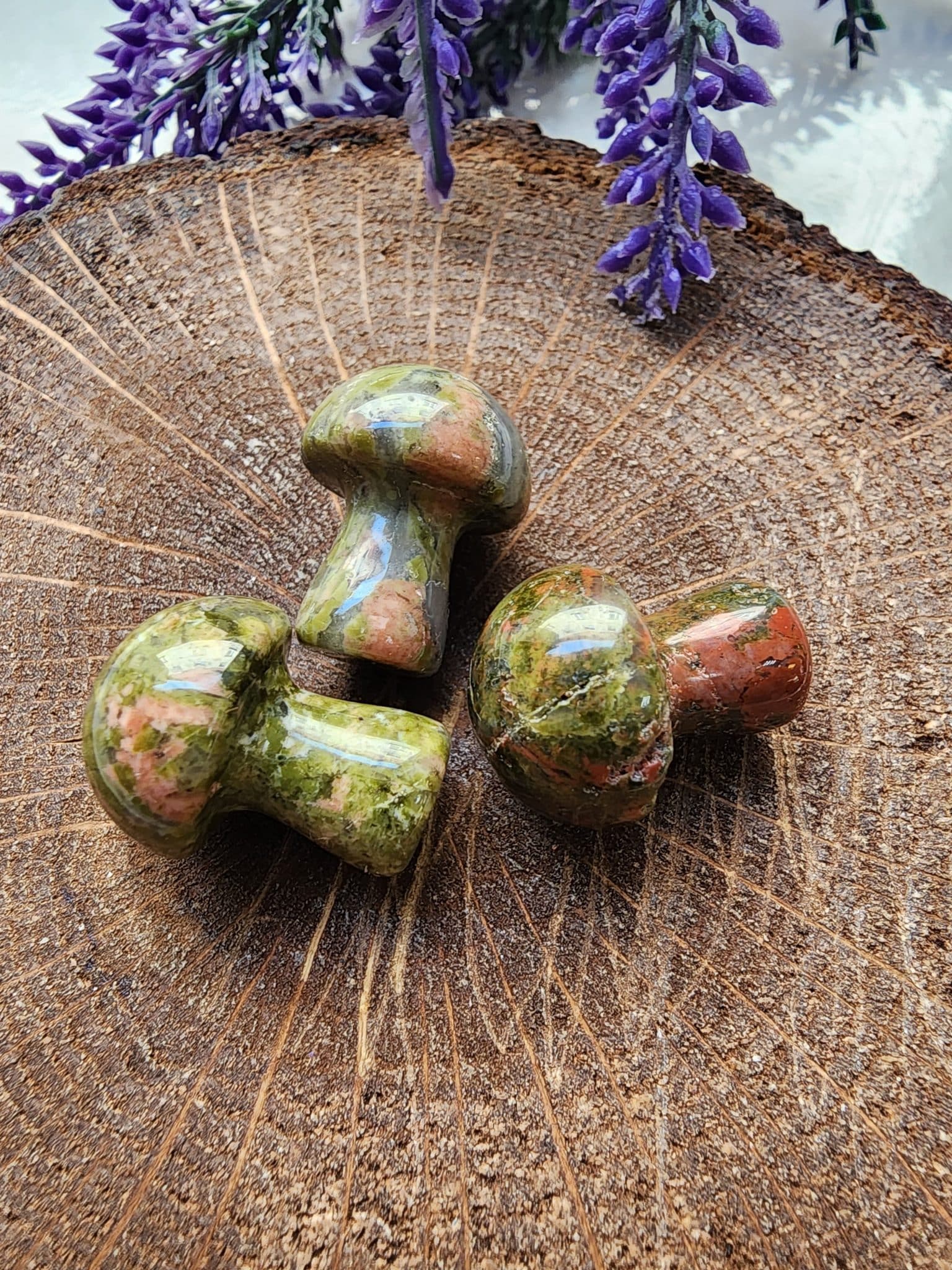 Mantar Unakit Dogal Tasi 2