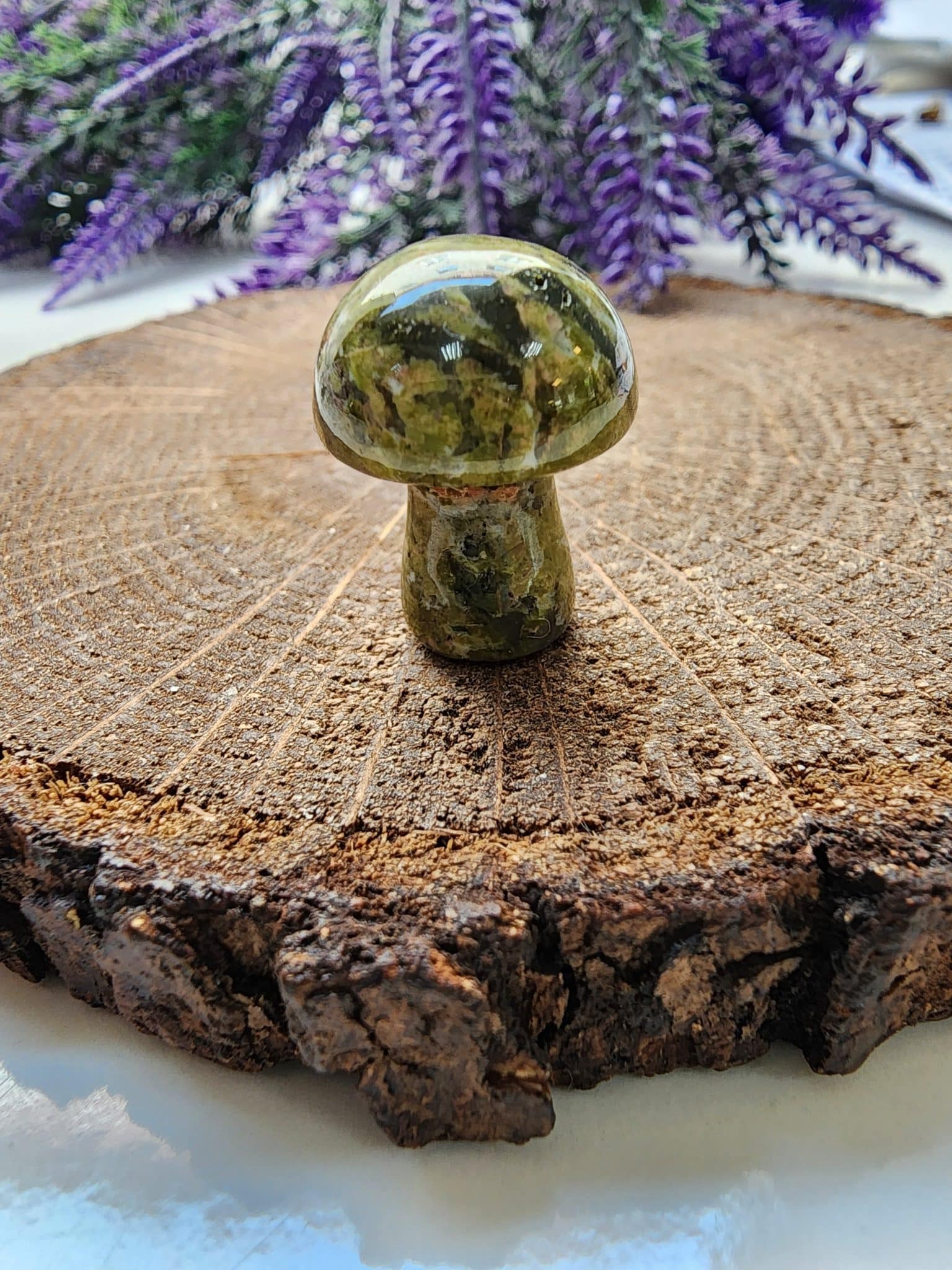 Mantar Unakit Dogal Tasi 4