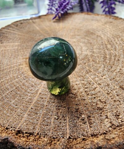 Mantar Yosun Akik Tasi 2