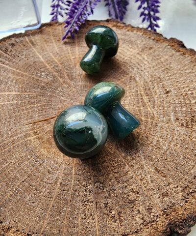 Mantar Yosun Akik Tasi