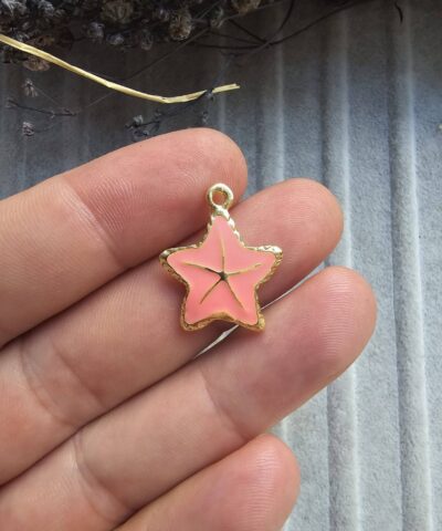 Mineli Deniz Yıldızı Takı Malzemesi - 503