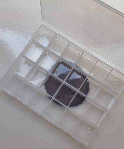 Organizer Boncuk Kutusu 24 Gozlu 19x25 Cm