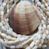 Oval Cubuk Sedef 10 X 5 Mm 4