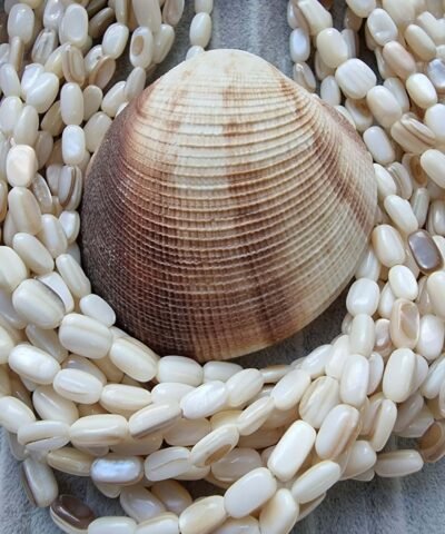 Oval Çubuk Sedef 10 x 5 mm