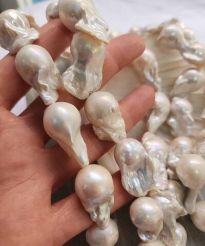 Premium Dizi Sakiz İncisi 2