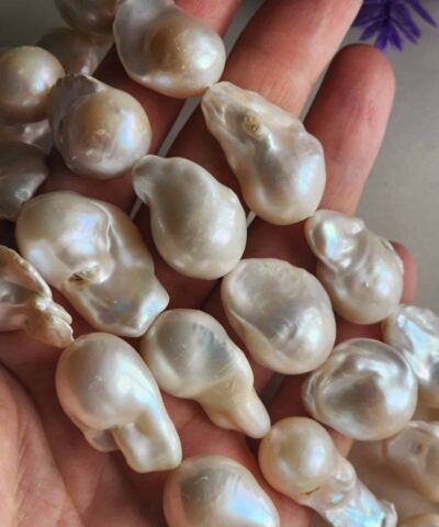 Premium Dizi Sakiz Mayorka İncisi 2