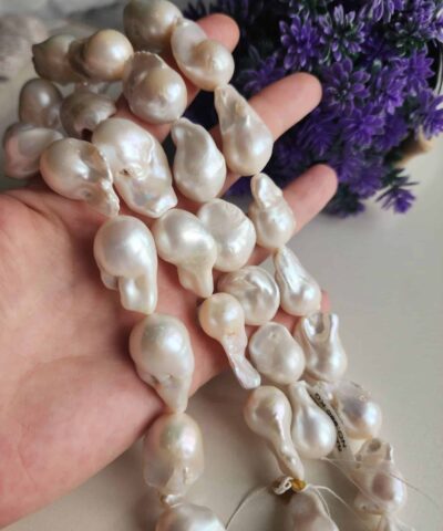 Premium Dizi Sakiz Mayorka İncisi