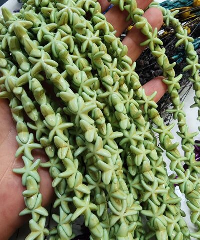 Renkli Deniz Yildizi Turkuaz Dogal Tas 502