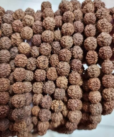 Rudraksha Boncuğu
