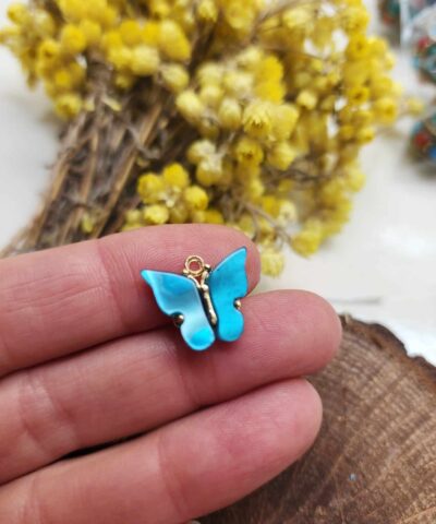 Sedef Kelebek Cesitleri 502