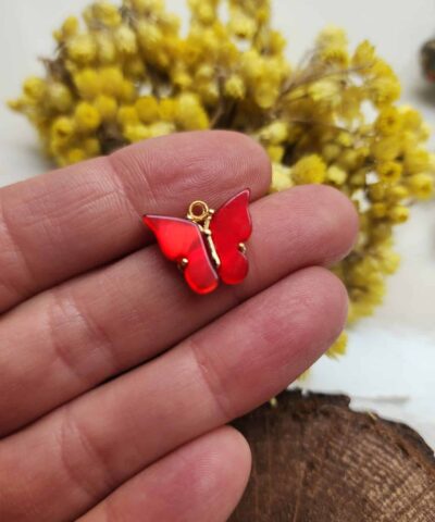 Sedef Kelebek Cesitleri 505