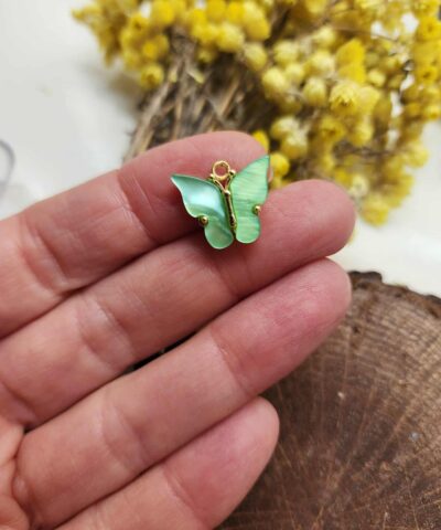 Sedef Kelebek Cesitleri 508