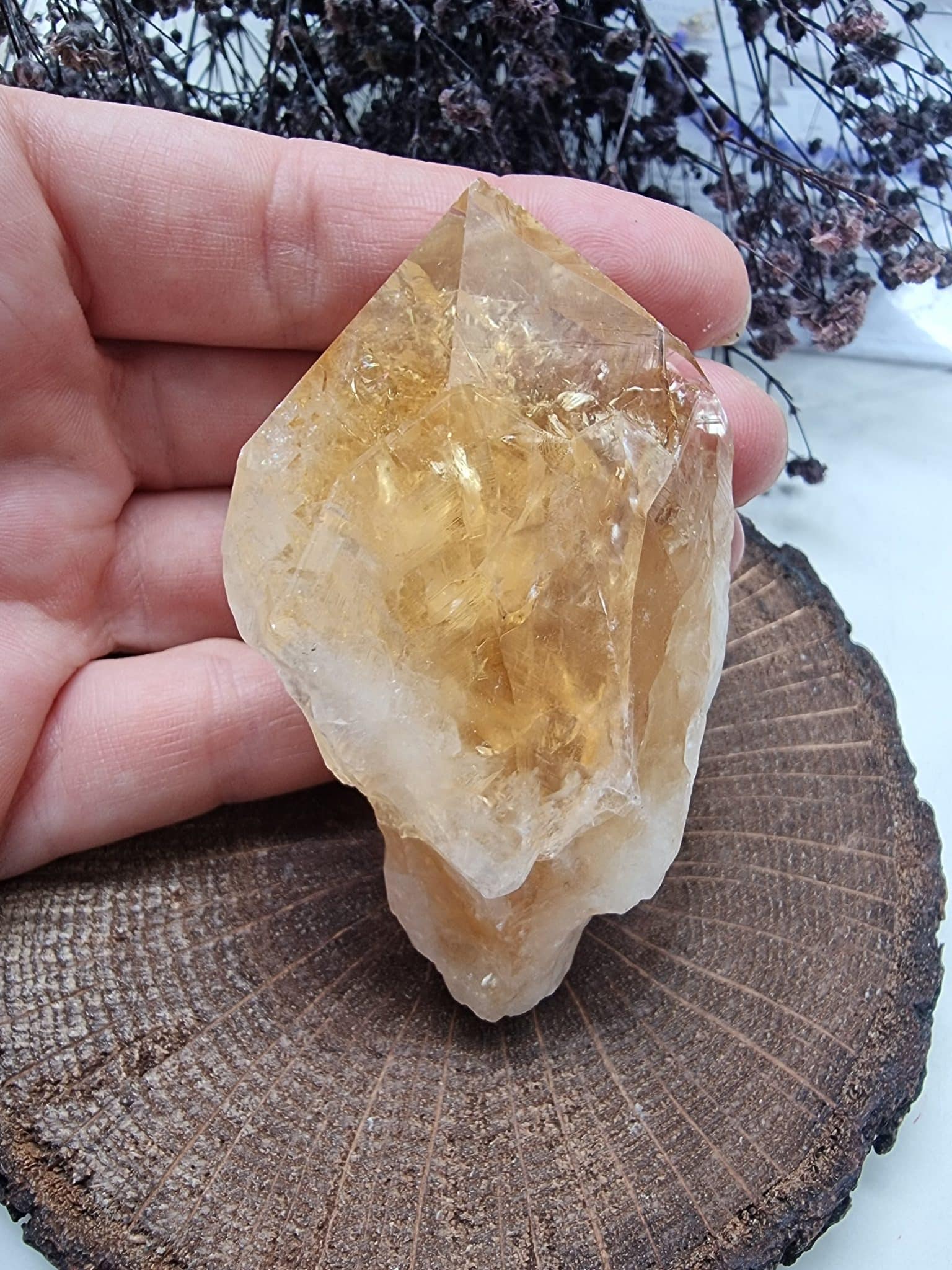 Sitrin Aaa Dogal Kayac Kutle 2