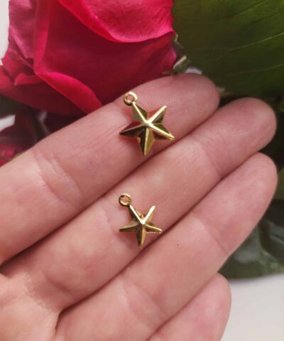 Yıldız 3 Boyutlu Kolye Ucu