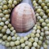 Zeberced Feset Kesim Dogal Tas 8 Mm