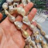 16 MM Premium Barok Doğal İnci