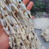 16x30 MM Kaz Ayağı Yapışık Barok Doğal İnci