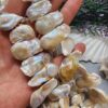 20-30 MM Yaprak Şekilli Doğal Barok İncisi - Görsel 2