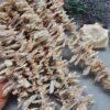 20 MM Çubuk Şekilsiz Barok Doğal İnci - Görsel 4