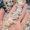 20 MM Çubuk Şekilsiz Barok Doğal İnci - Görsel 3