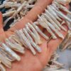 50 MM Çubuk Şekilsiz Barok Doğal İnci - Görsel 2