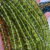 8 MM Küre Peridot Renkli Kuvars Taşı