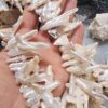Şekiliz Plaka Barok Doğal İnci