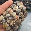 14 Mm Fasetli Desenli Jasper Tasi Bileklik 3