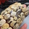 14 Mm Fasetli Jasper Tasi Bileklik