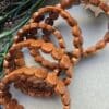 14 Mm Fasetli Kahve Yildiz Tasi Bileklik