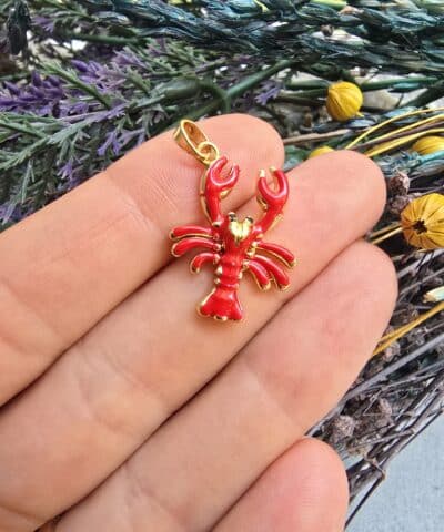 Mineli Kırmızı Istakoz Charm - 502