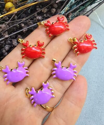 Mineli Sevimli Yengeç Charm