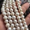 8 Mm Aaa Beyaz Gercek Dogal İnci
