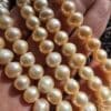 8 Mm Aaa Pembe Gercek Dogal İnci 2