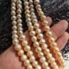 8 Mm Aaa Pembe Gercek Dogal İnci 3