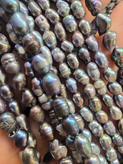 7x5 MM Arpa Doğal Siyah İnci