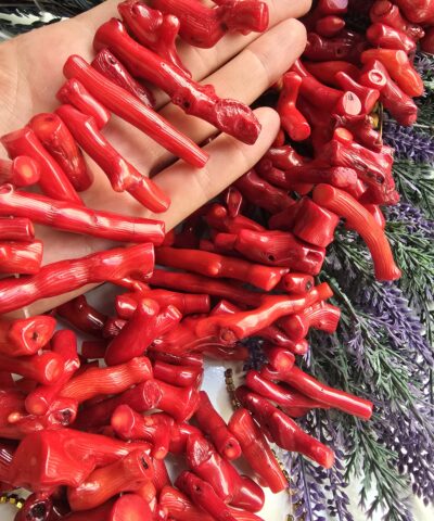 Aaa Buyuk Cubuk Sekilli Mercan Tasi