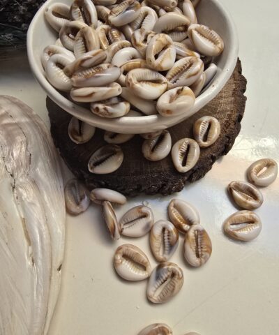 1 Cm Dogal Renkli Deniz Kabugu Akrilik Boncuk