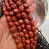 13 MM Premium Kök Mercan Taşı
