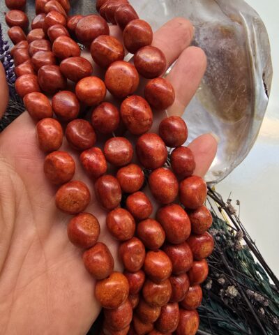 13 MM Premium Kök Mercan Taşı