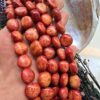 15 MM Premium Kök Mercan Taşı
