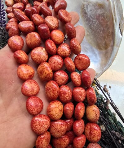 15 MM Premium Kök Mercan Taşı