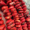 15 MM Şekilsiz Mercan Taşı