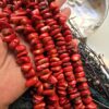 15 MM Şekilsiz Mercan Taşı